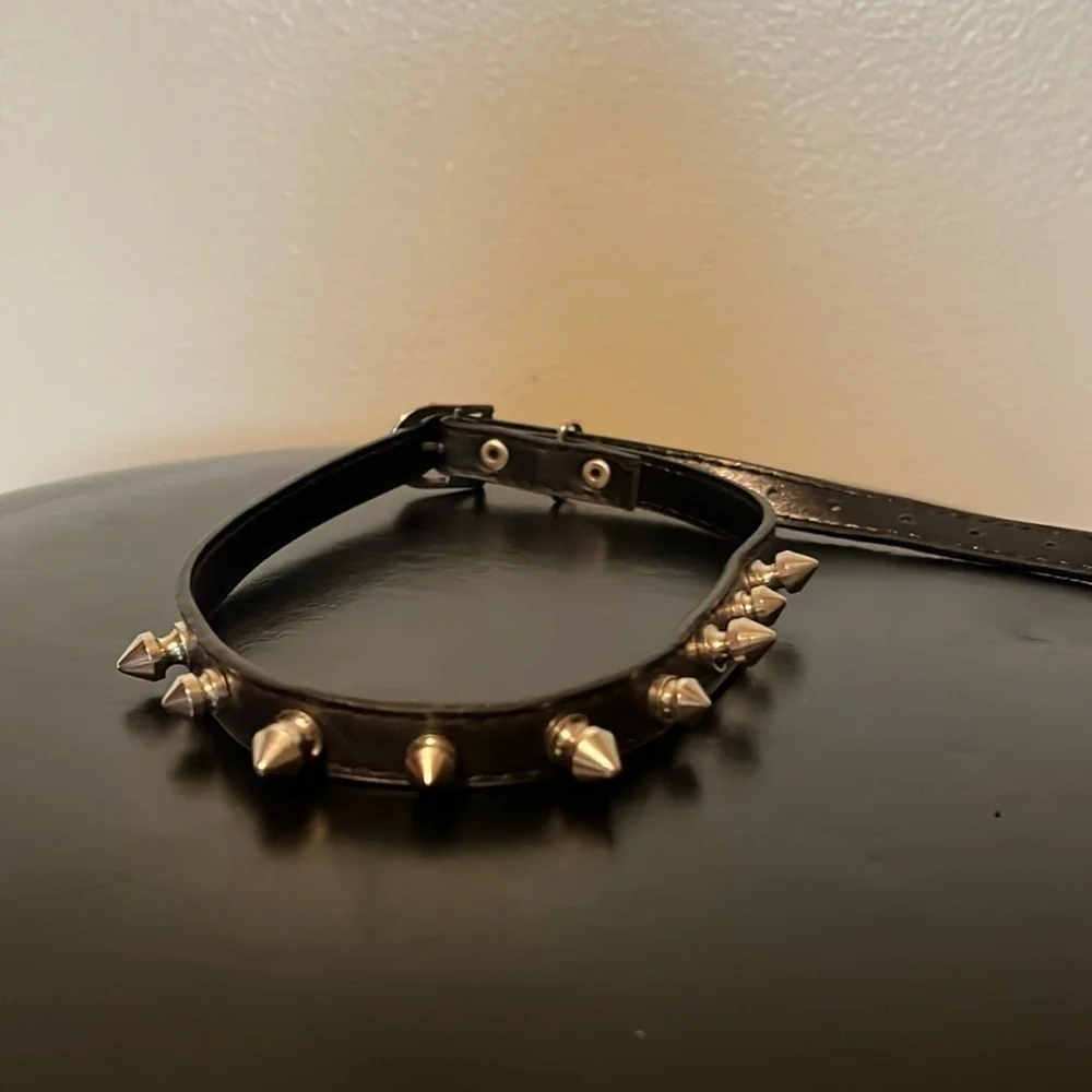 Spike Dog Collar, Black/Silver